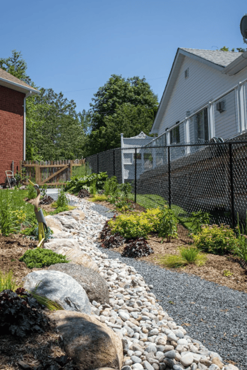 Practical Ways to Restore Local Ecosystems