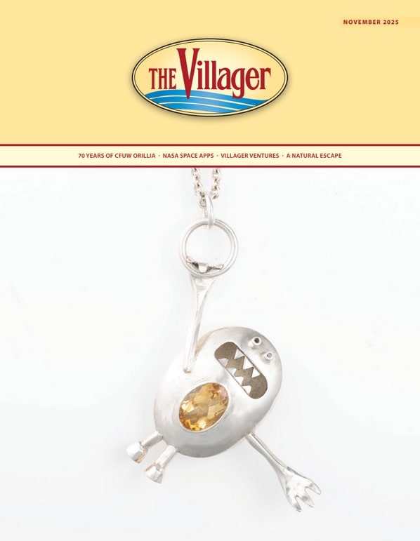 The Villager November Issue
